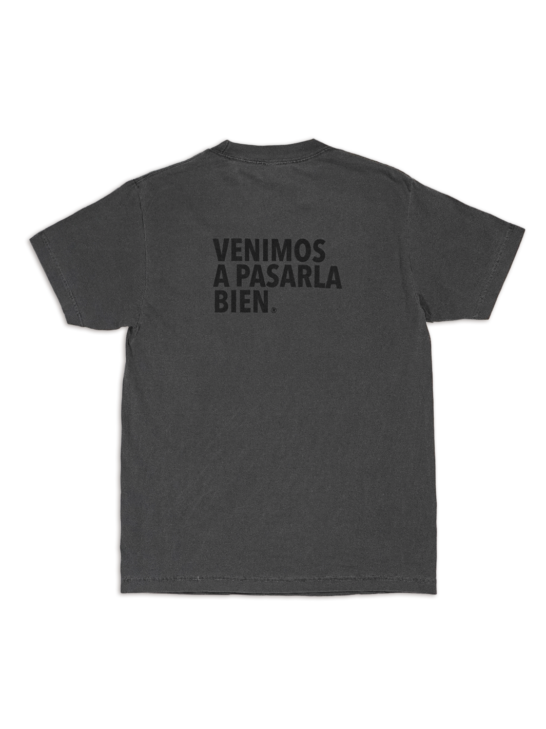 Playera Gris Deslavada