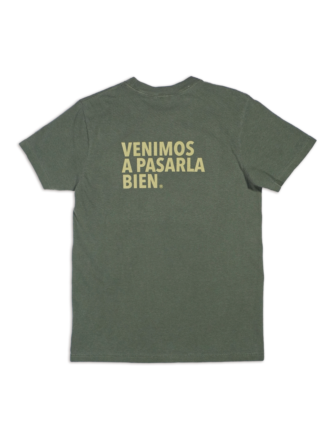 Playera Verde Deslavada