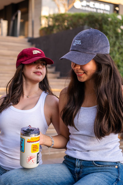 Dad hat Pana Gris