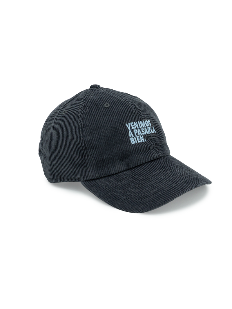 Dad hat Pana Gris