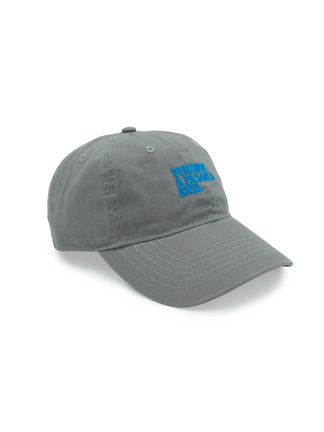Dad Hat Gris